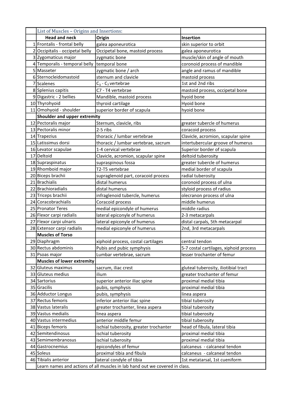 List of Muscles – Origins and Insertions