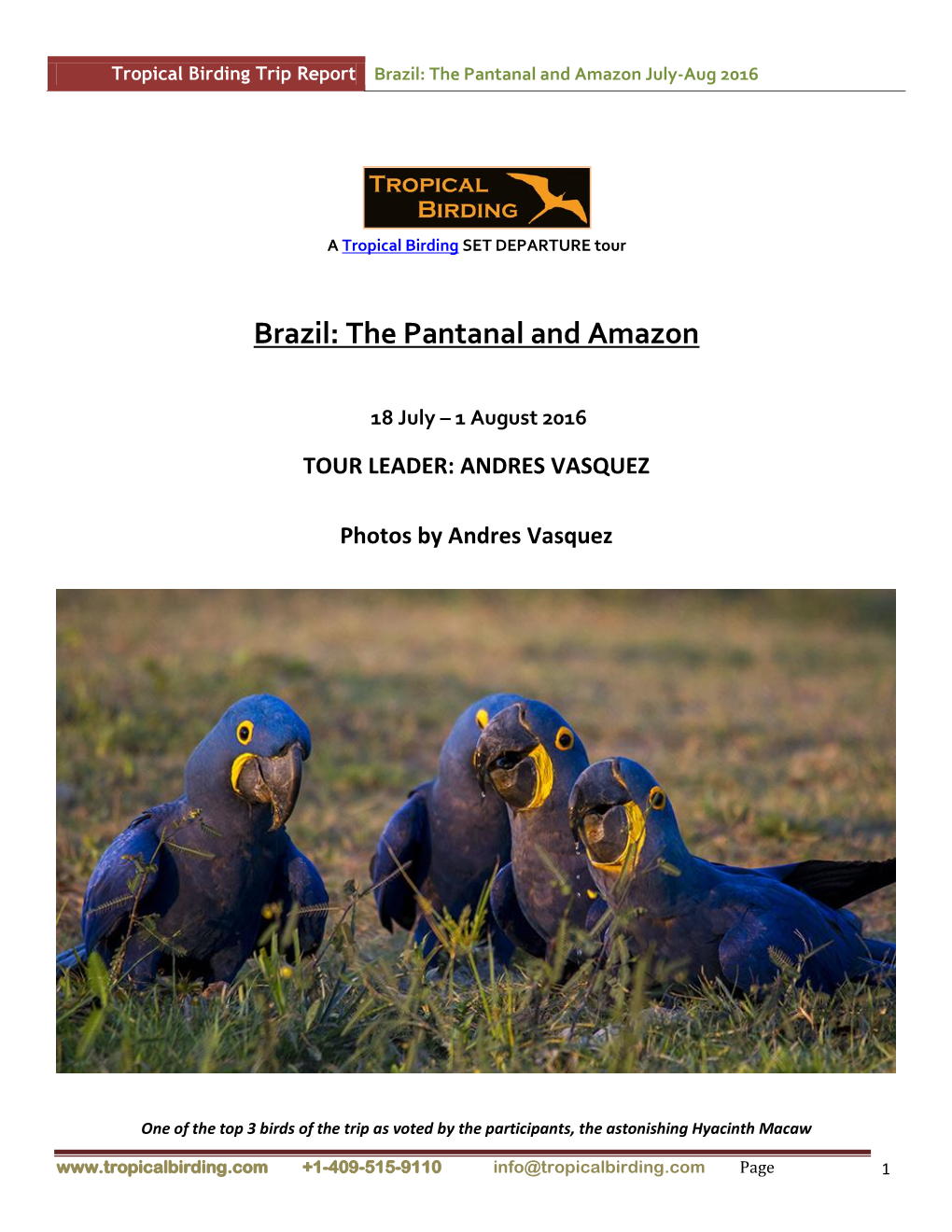 Brazil: the Pantanal and Amazon July-Aug 2016