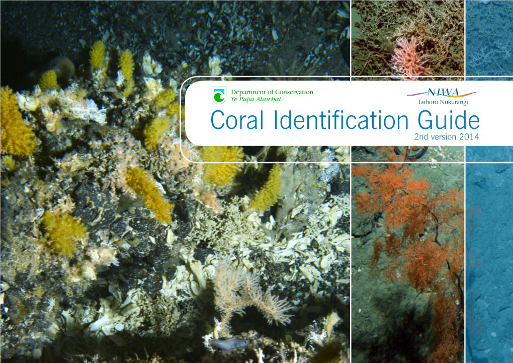 Coral Identification Guide 2Nd Version 2014