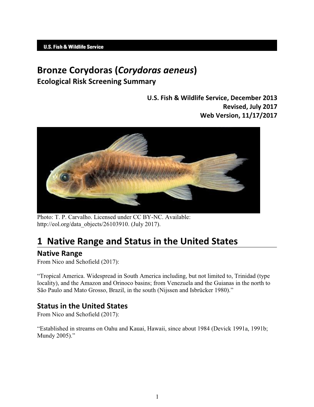 Corydoras Aeneus) Ecological Risk Screening Summary