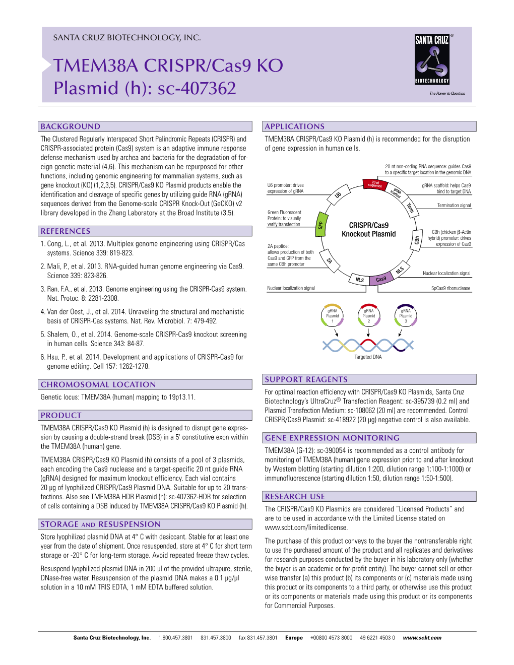 TMEM38A CRISPR/Cas9 KO Plasmid (H): Sc-407362