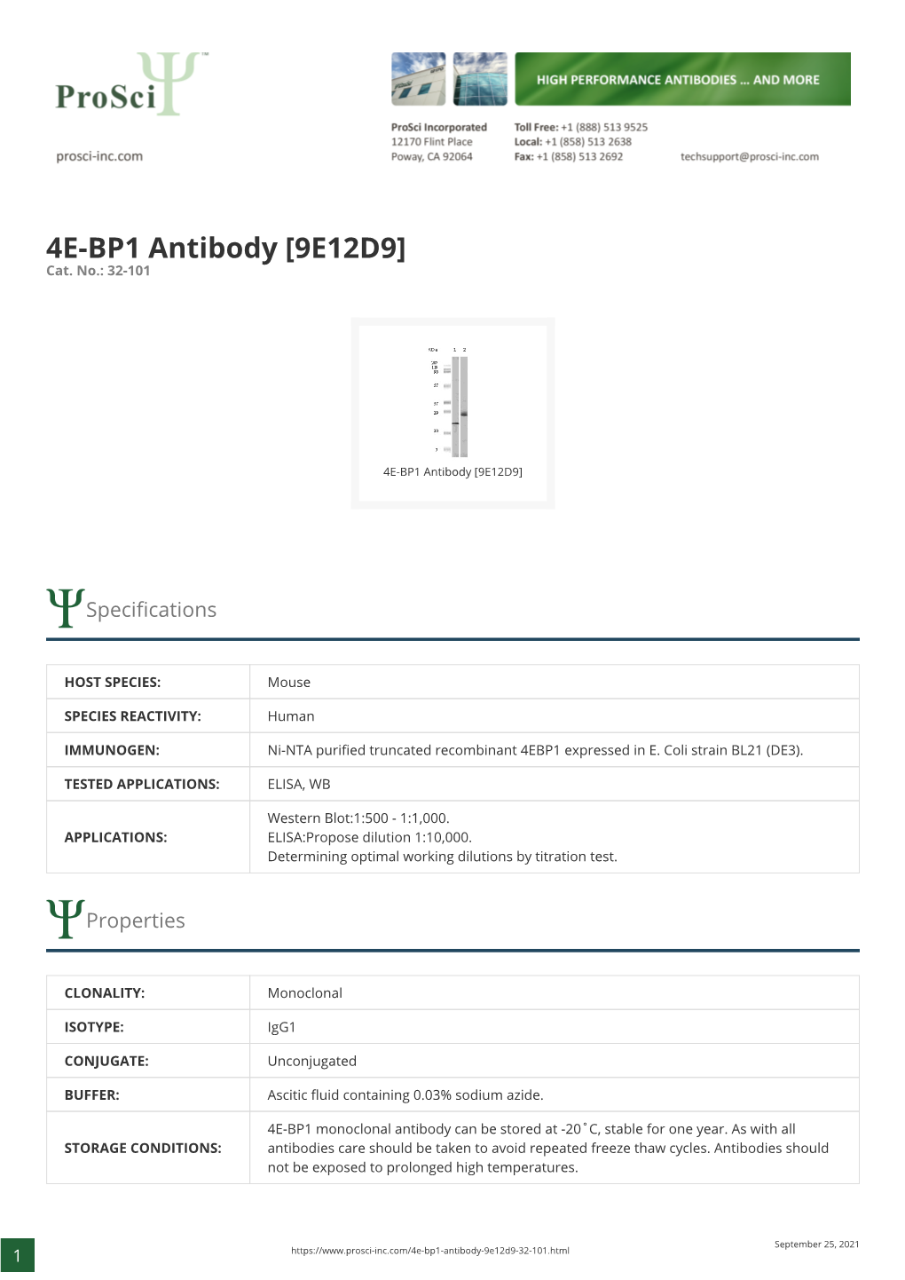 4E-BP1 Antibody [9E12D9] Cat