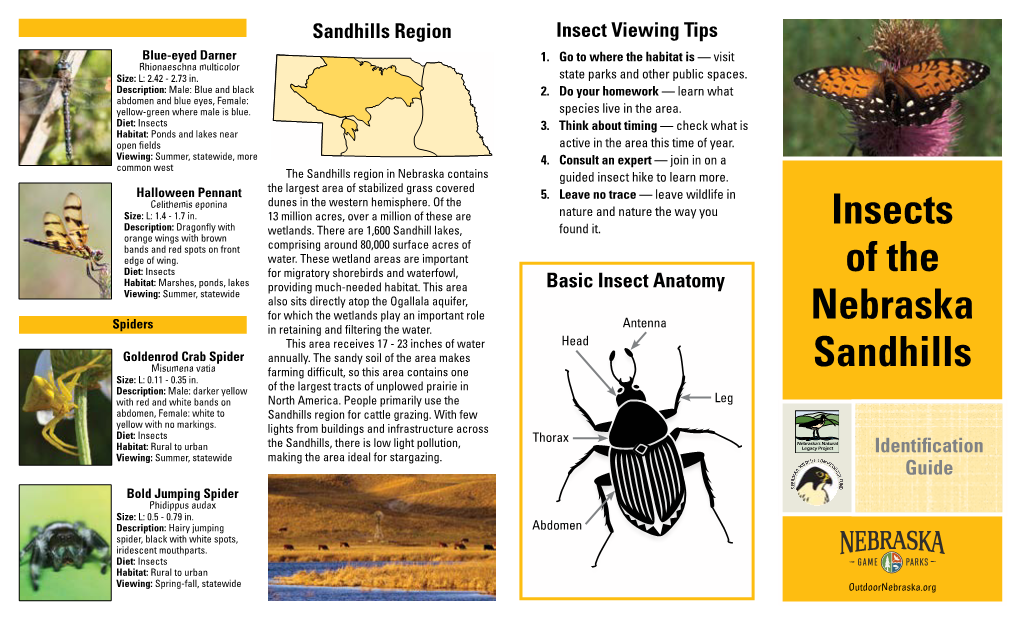 Insects of the Nebraska Sandhills