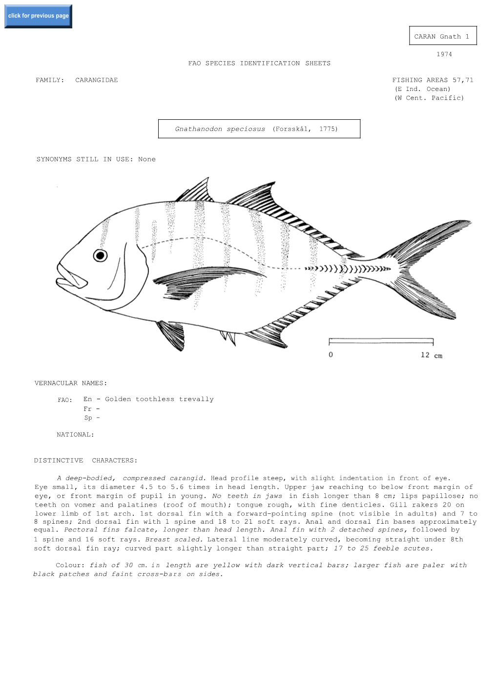 SYNONYMS STILL in USE: None FAO SPECIES IDENTIFICATION