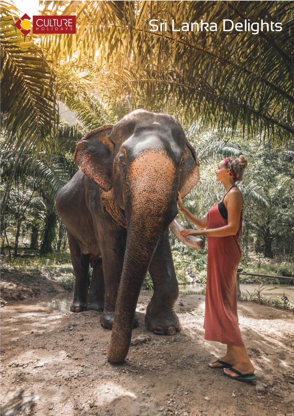 Sri Lanka Delights