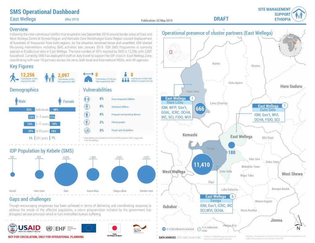 Operational Dashboard SMS East Wellega May 2019