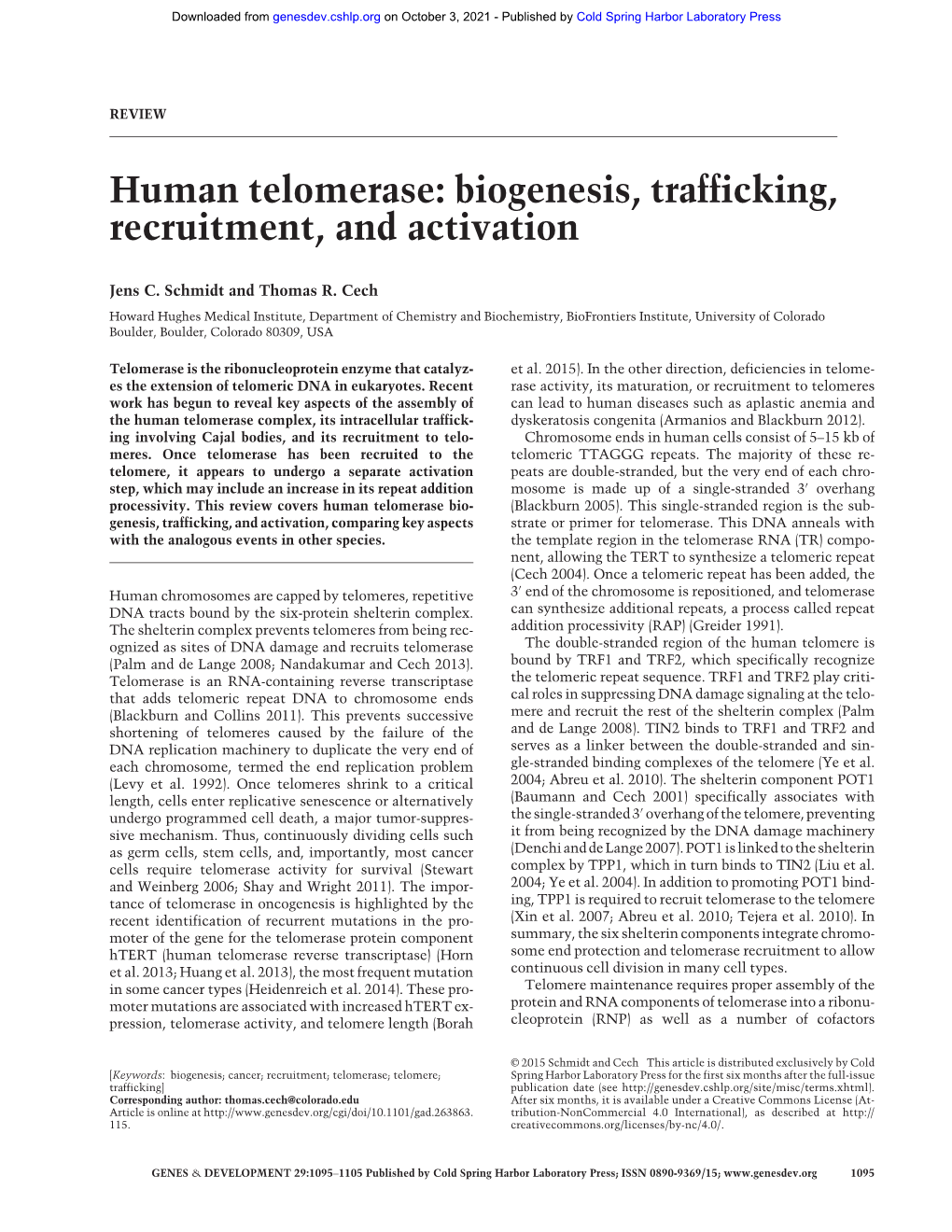 Human Telomerase: Biogenesis, Trafficking, Recruitment, and Activation