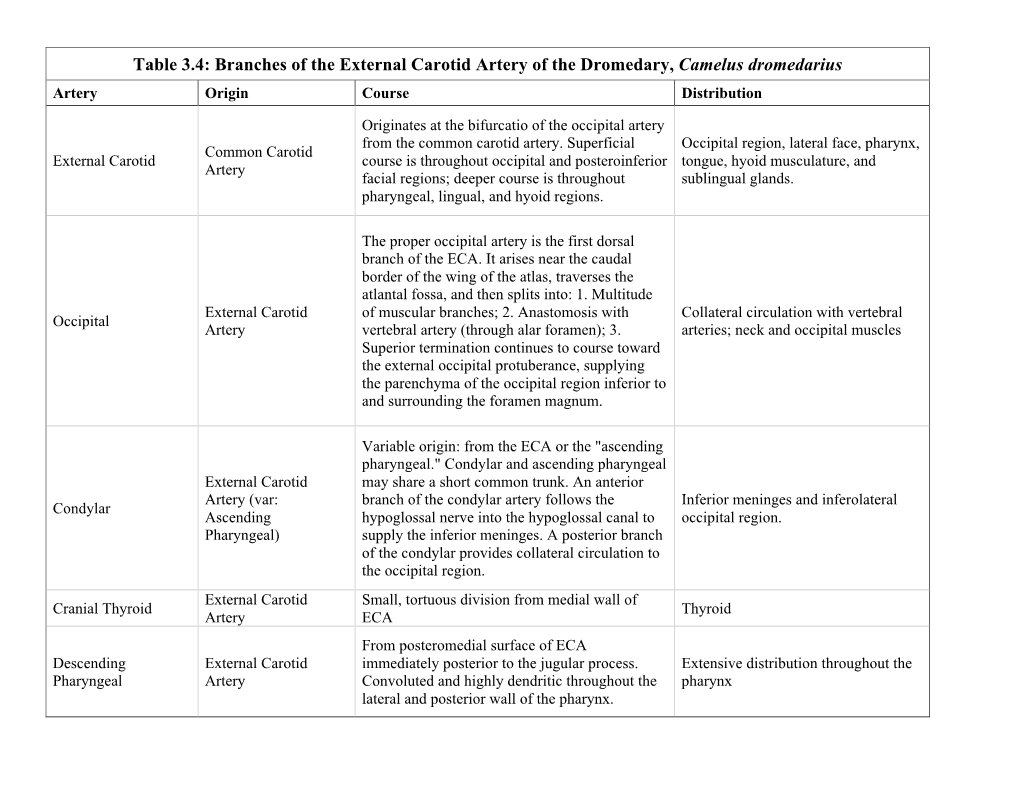 Branches of the External Carotid Artery of the Dromedary, Camelus Dromedarius Artery Origin Course Distribution