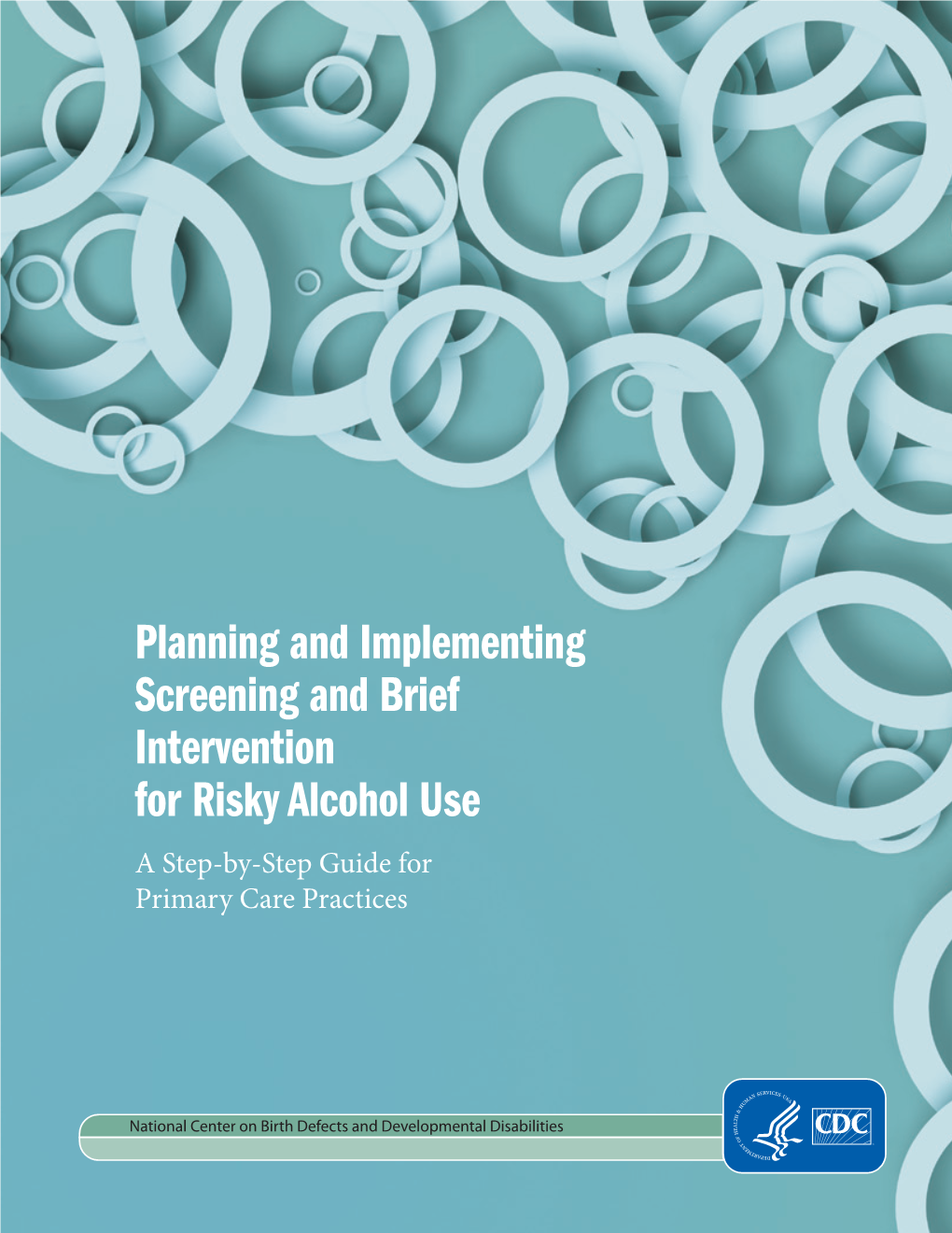 Planning and Implementing Screening and Brief Intervention for Risky Alcohol Use a Step-By-Step Guide for Primary Care Practices