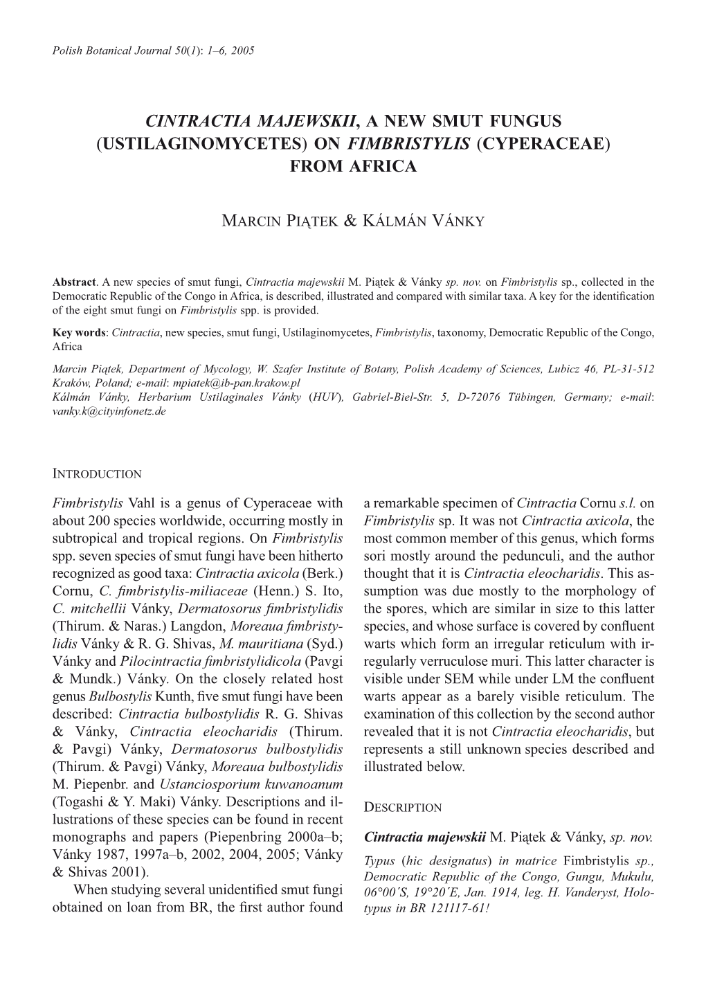 Cintractia Majewskii, a New Smut Fungus (Ustilaginomycetes) on Fimbristylis (Cyperaceae) from Africa