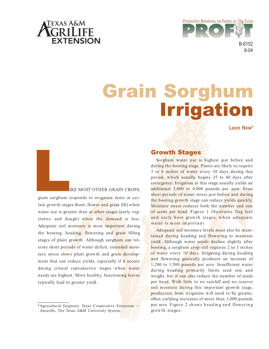 Grain Sorghum Irrigation