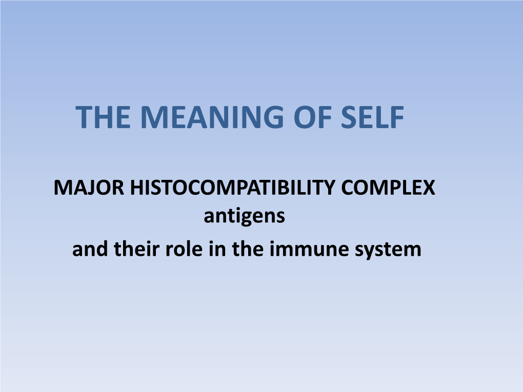 The Meaning of Self