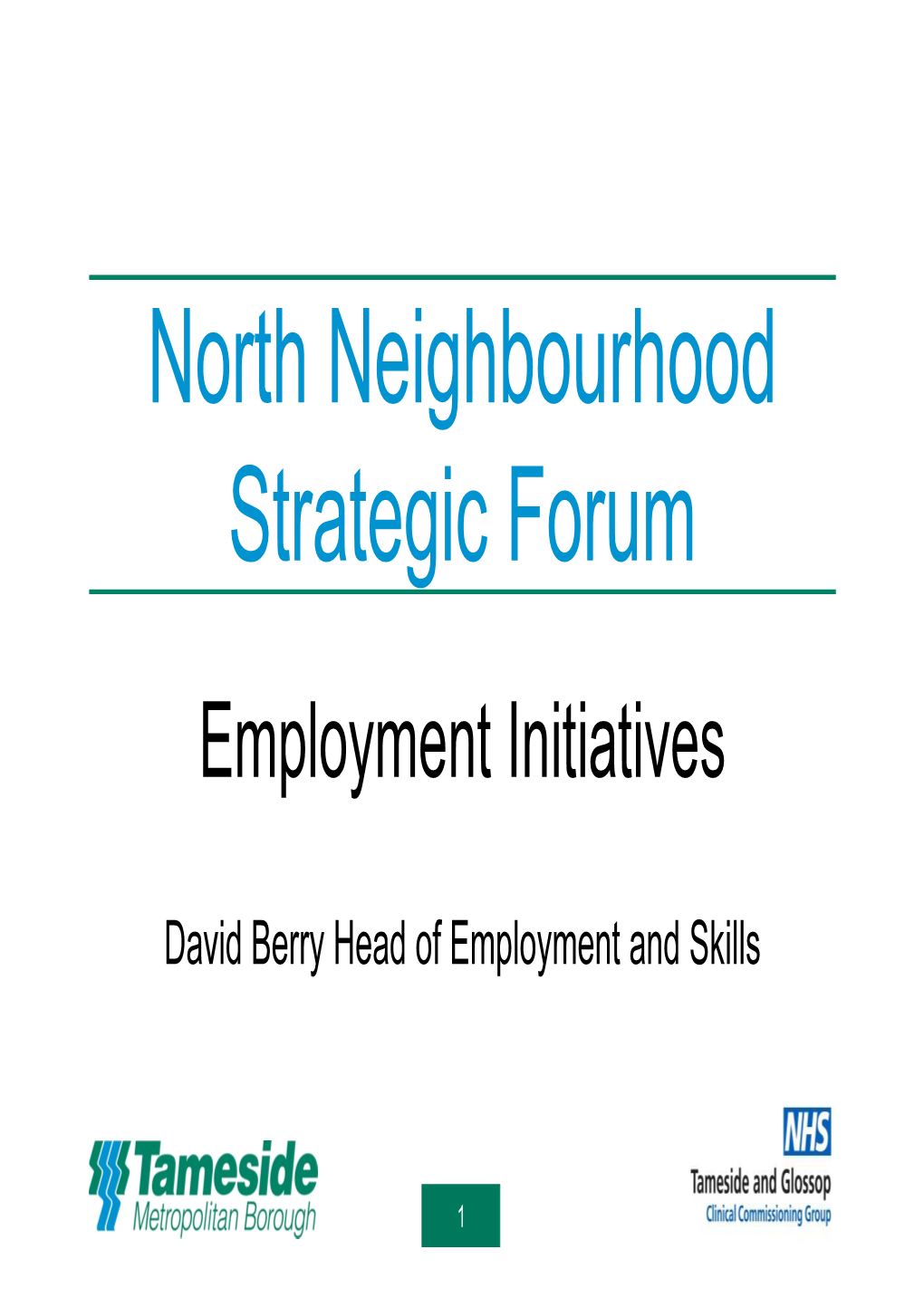 North Neighbourhood Strategic Forum Employment Initiatives