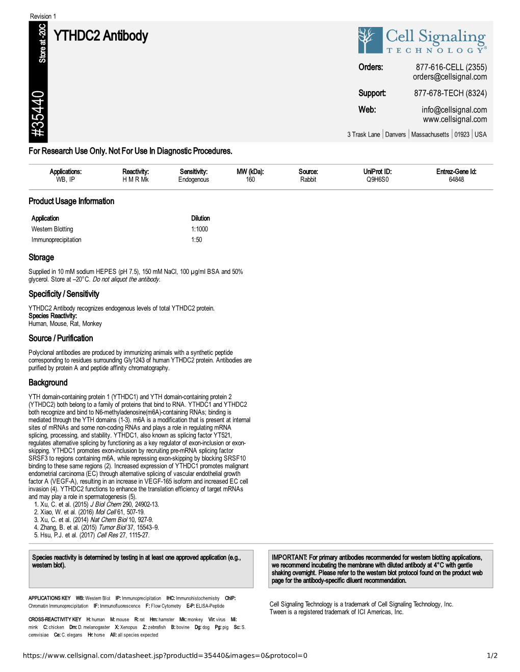 35440 YTHDC2 Antibody