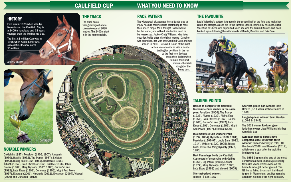 Caulfield Cup What You Need to Know