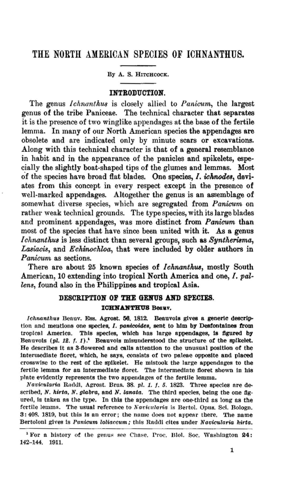 The North American Species of Ichnanthus