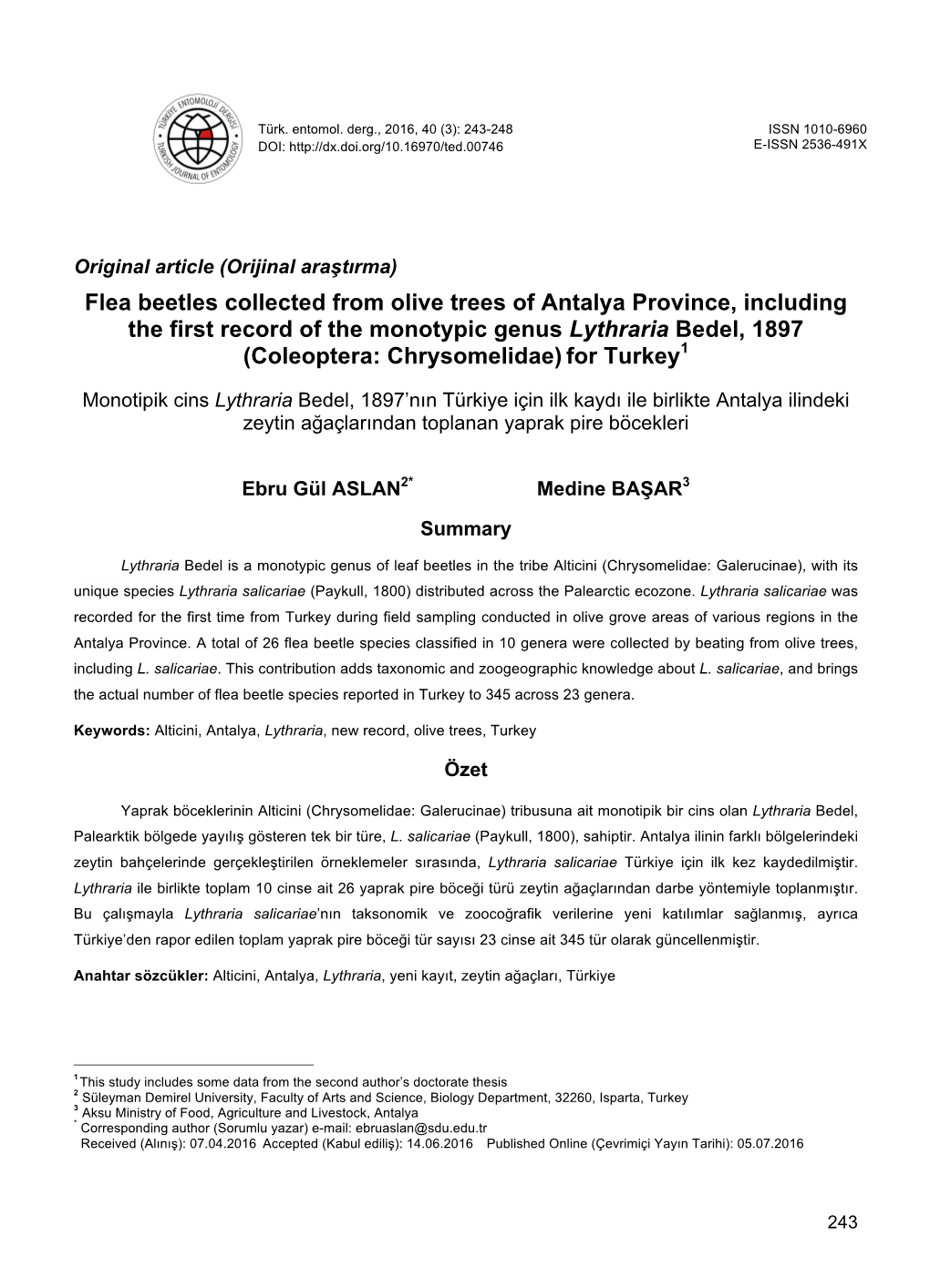 Flea Beetles Collected from Olive Trees of Antalya Province