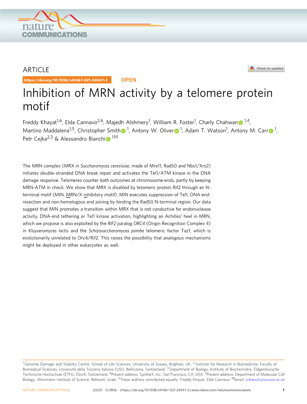 Inhibition of MRN Activity by a Telomere Protein Motif