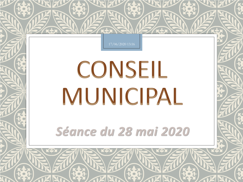 Conseil Municipal