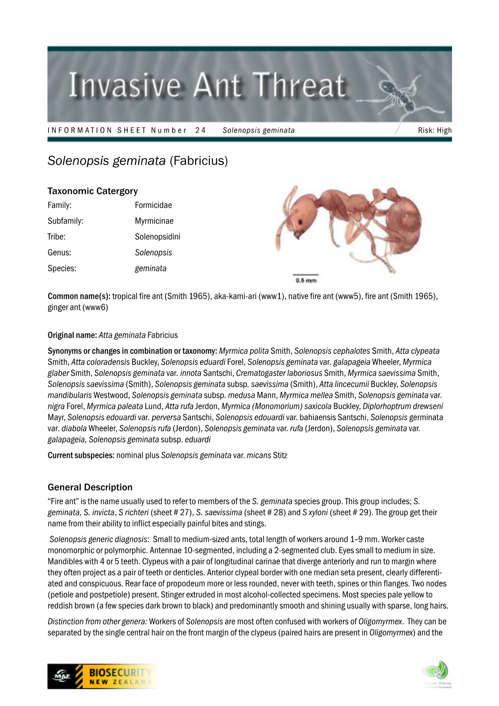 Ant Information Sheet # 24