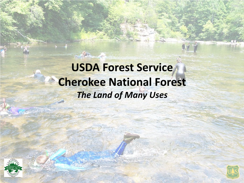 Snorkeling in the Cherokee National Forest