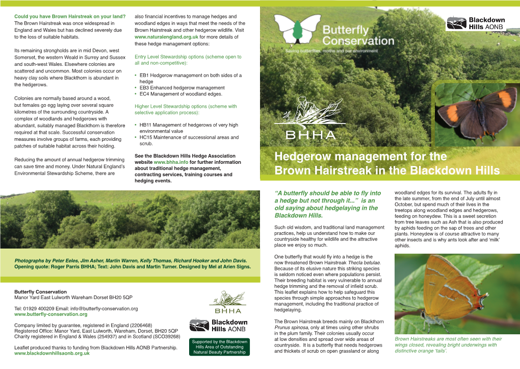 Brown Hairstreak in Blackdown Hills Leaflet