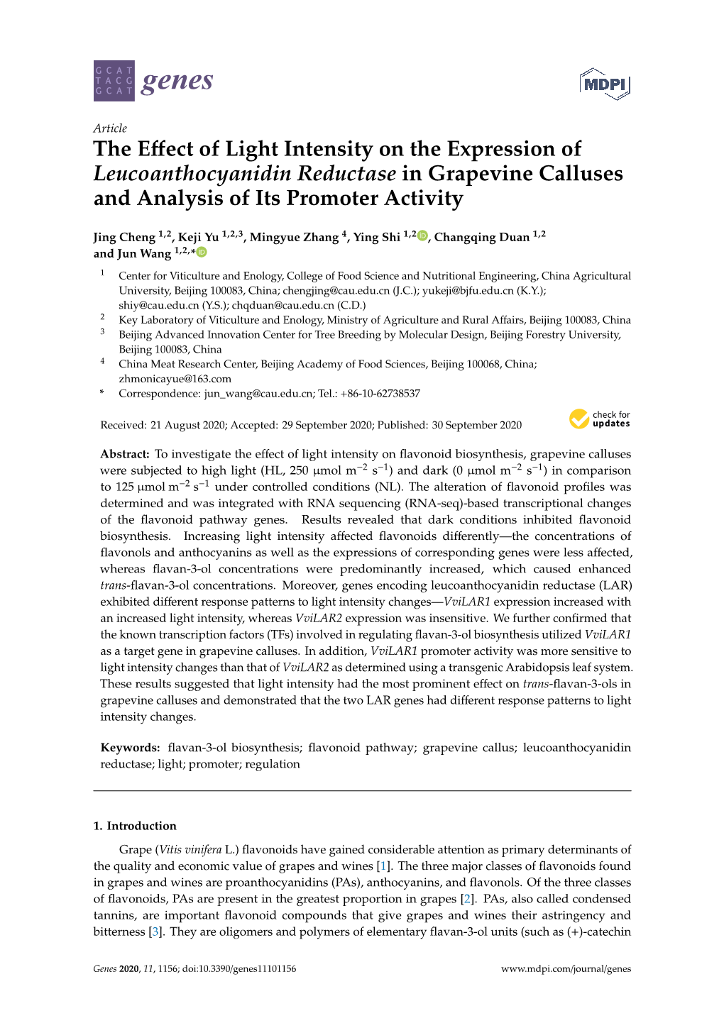 The Effect of Light Intensity on the Expression of Leucoanthocyanidin