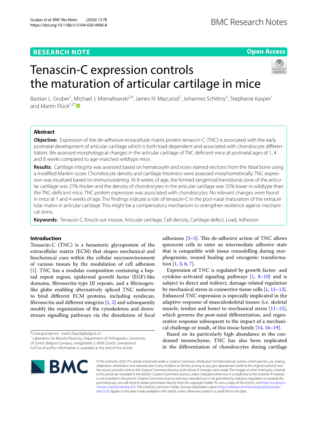 Tenascin-C Expression Controls the Maturation of Articular Cartilage In