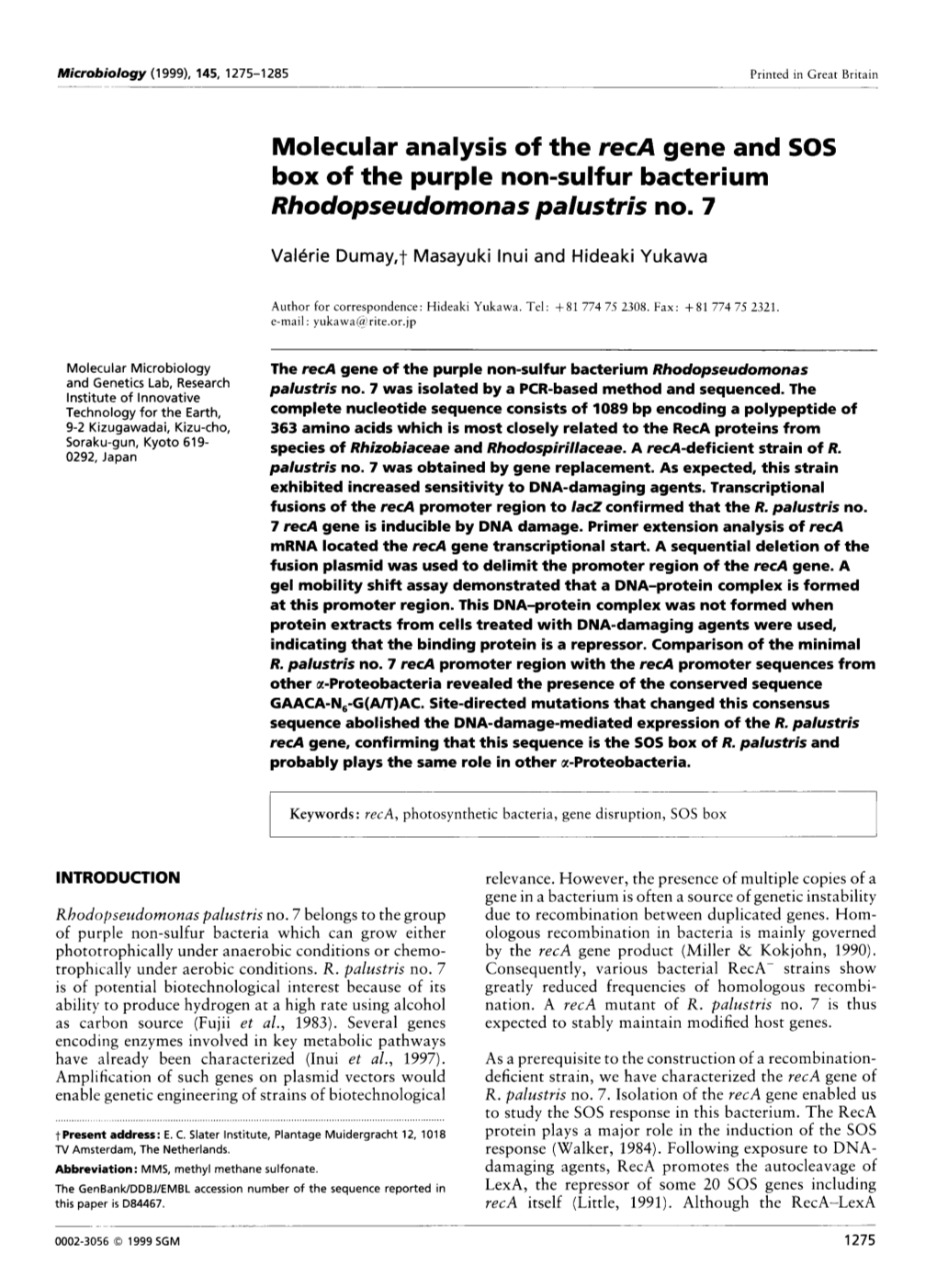 Molecular Analysis of the Reca Gene and SOS Box of the Purple Non-Sulfur Bacterium Rhodopseudomonas Palustris No