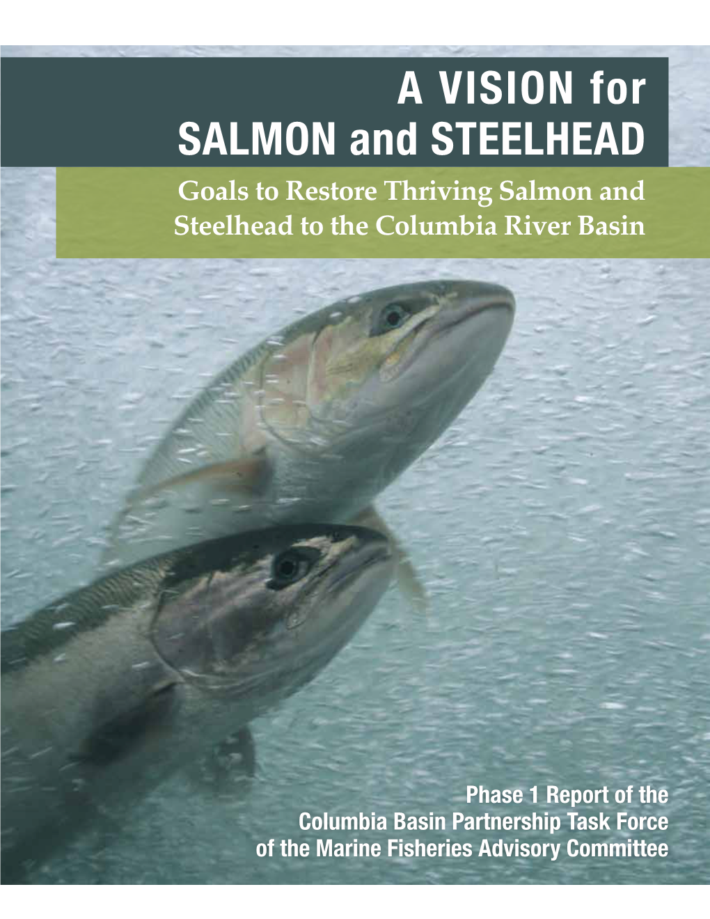 A VISION for SALMON and STEELHEAD Goals to Restore Thriving Salmon and Steelhead to the Columbia River Basin