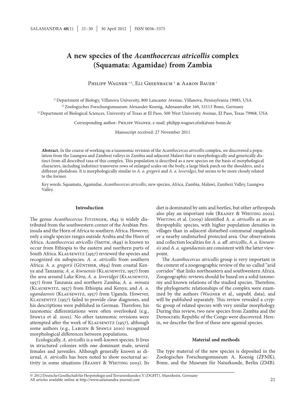 A New Species of the Acanthocercus Atricollis Complex (Squamata: Agamidae) from Zambia