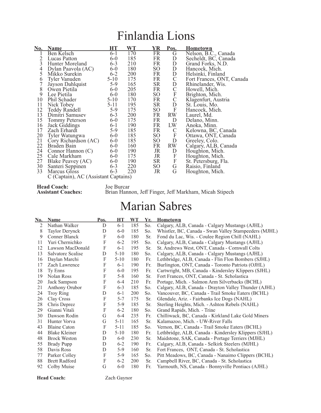 Marian Sabres Finlandia Lions