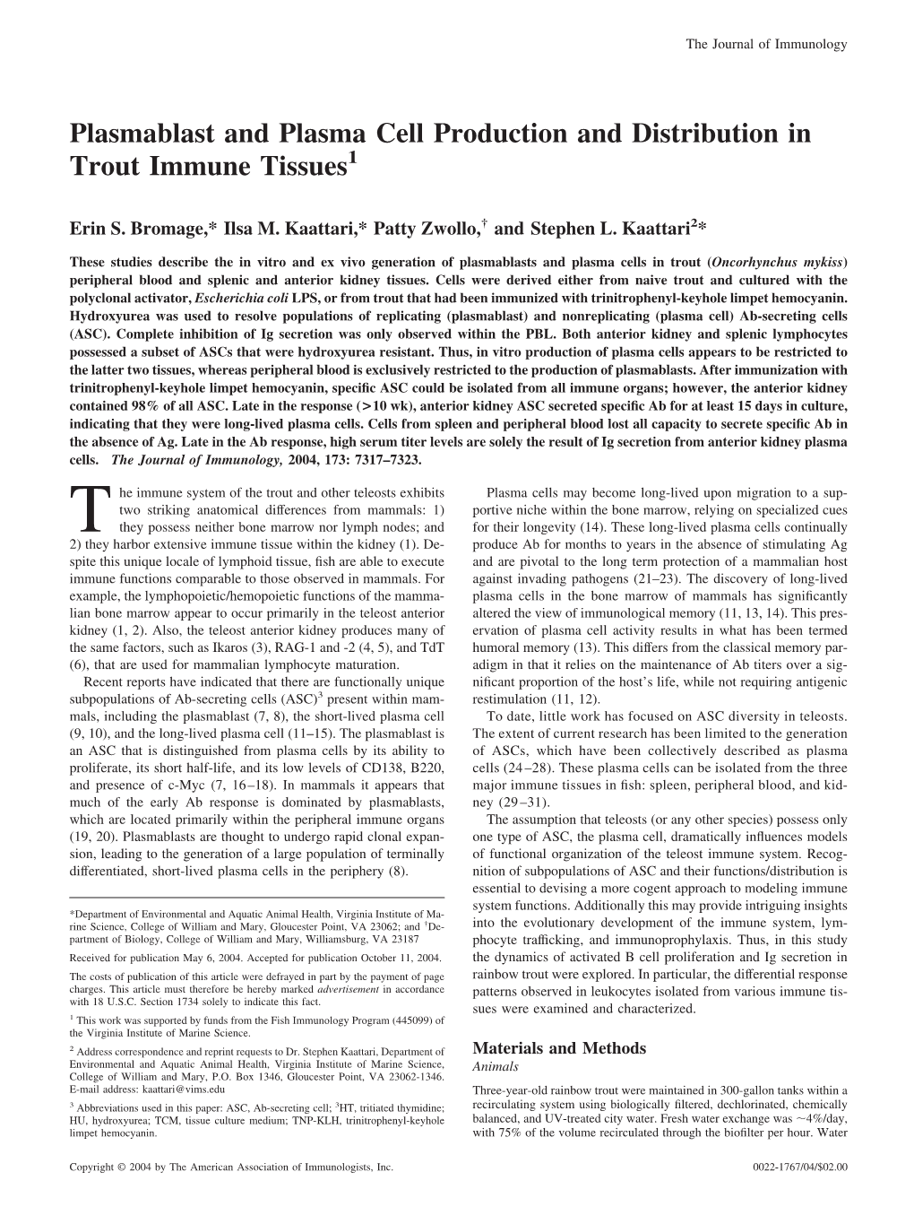 Distribution in Trout Immune Tissues Plasmablast and Plasma Cell