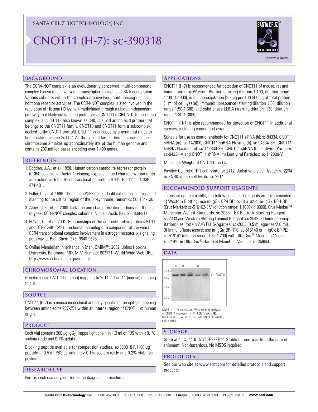 Datasheet Blank Template