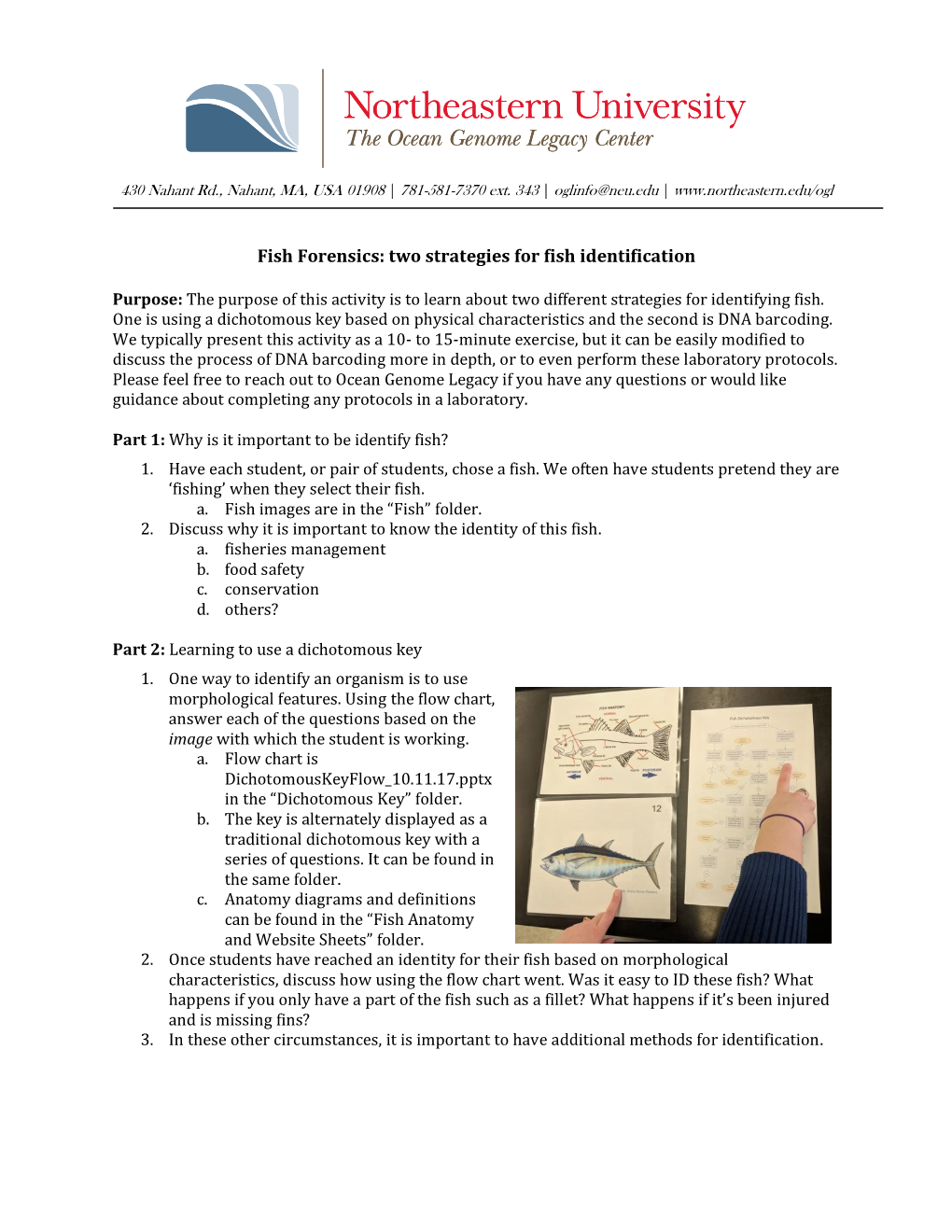 Fish Forensics: Two Strategies for Fish Identification