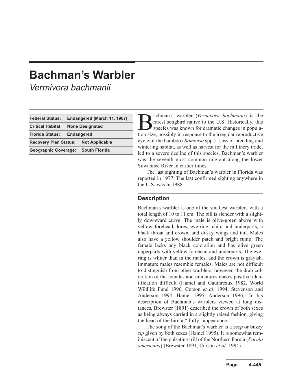 Bachman's Warbler