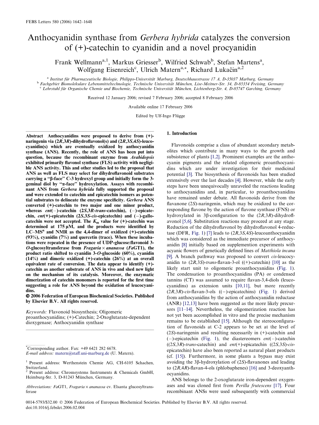 (+)-Catechin to Cyanidin and a Novel Procyanidin