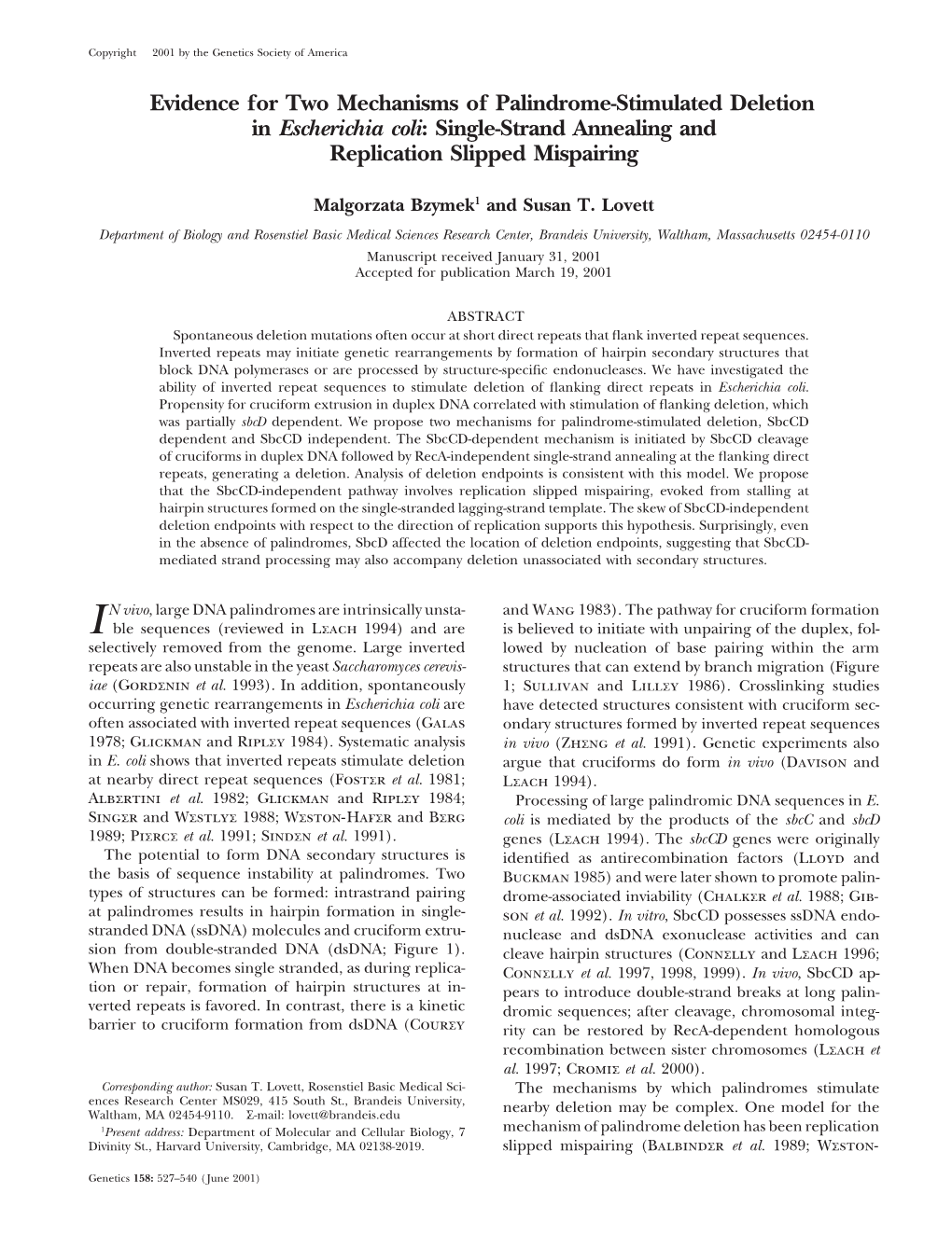 Evidence for Two Mechanisms of Palindrome-Stimulated Deletion in Escherichia Coli: Single-Strand Annealing and Replication Slipped Mispairing