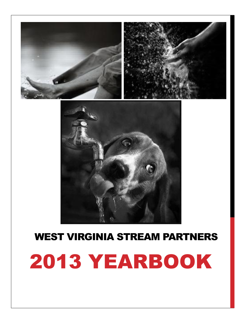 West Virginia Stream Partners 2013 Yearbook