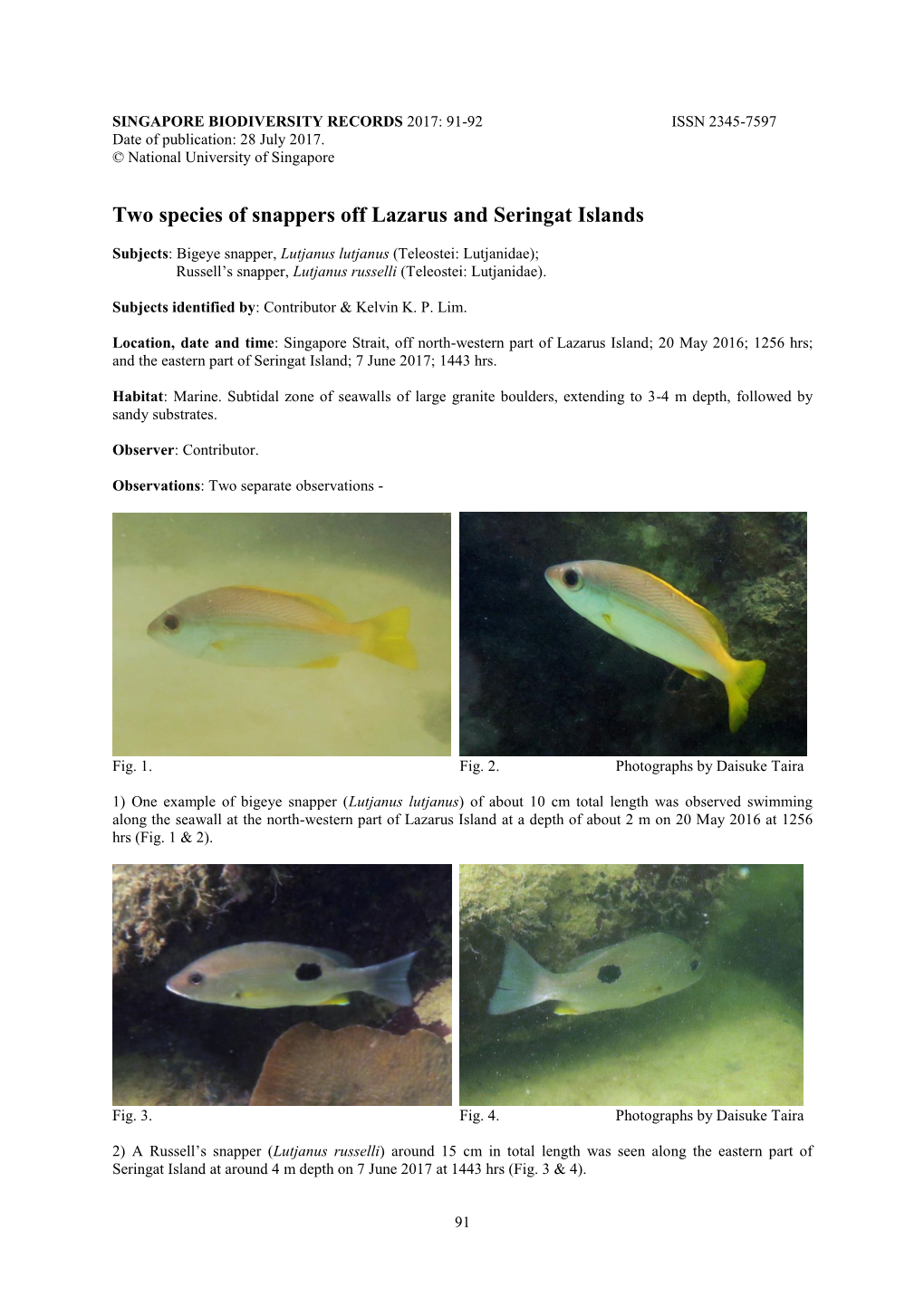 Two Species of Snappers Off Lazarus and Seringat Islands