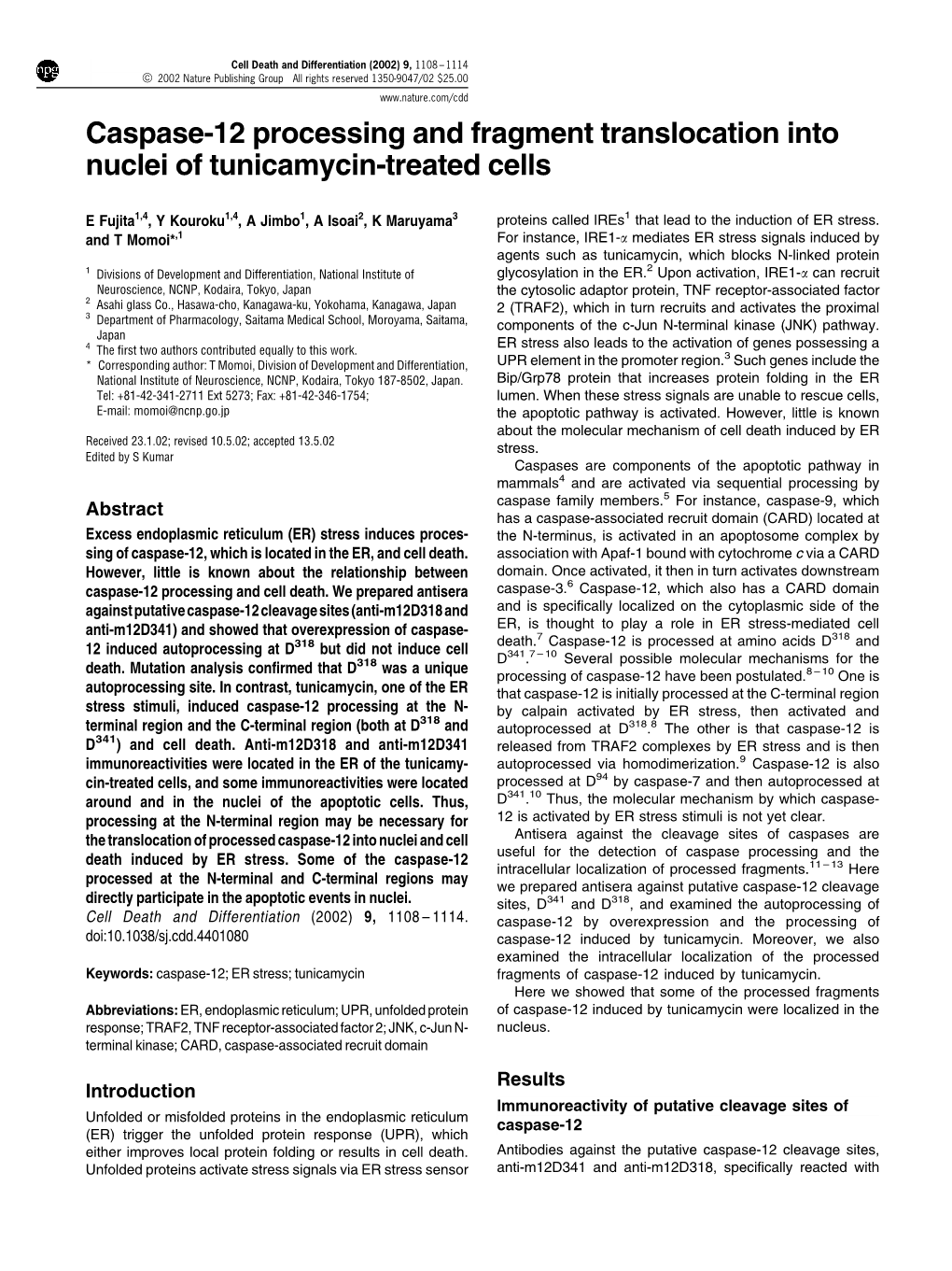 Caspase-12 Processing and Fragment Translocation Into Nuclei of Tunicamycin-Treated Cells