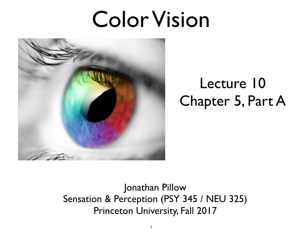 Color Vision