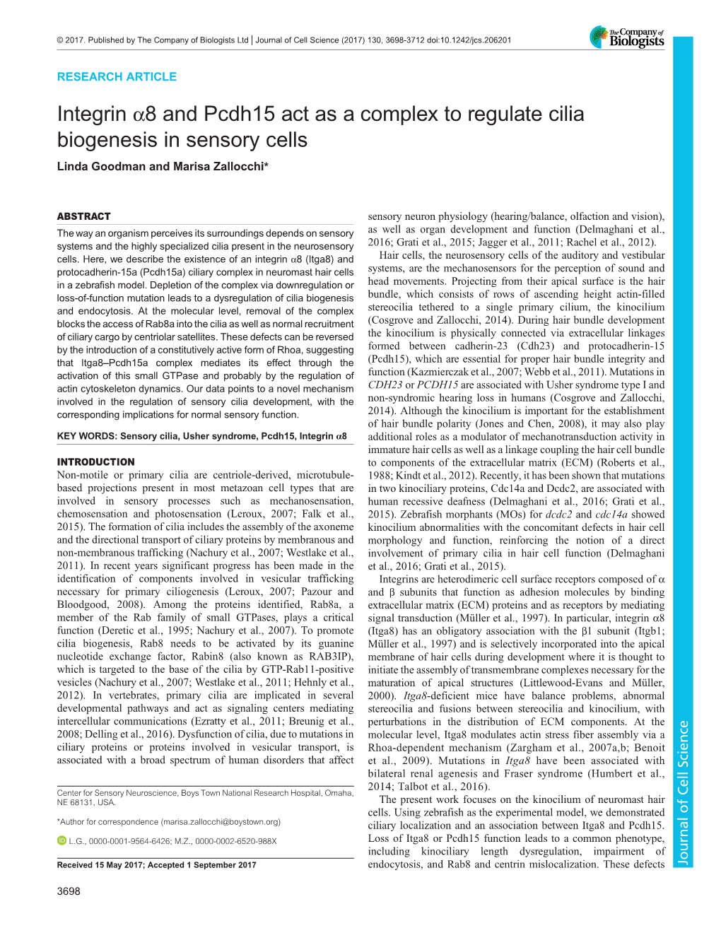 Integrin Α8 and Pcdh15 Act As a Complex to Regulate Cilia Biogenesis in Sensory Cells Linda Goodman and Marisa Zallocchi*