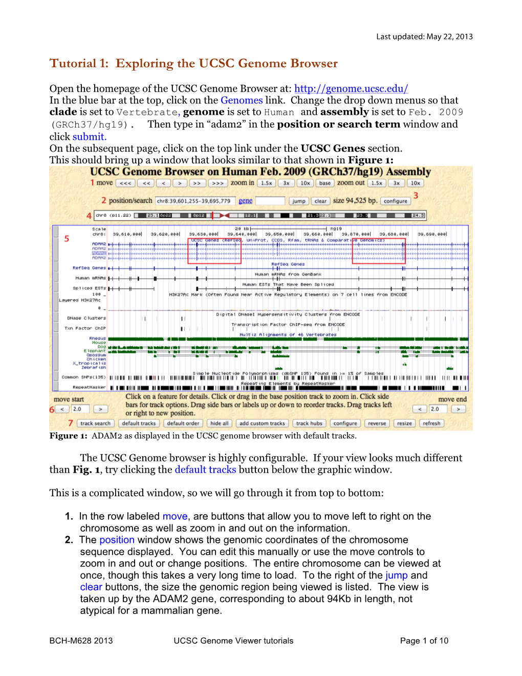 Tutorial 1: Exploring the UCSC Genome Browser