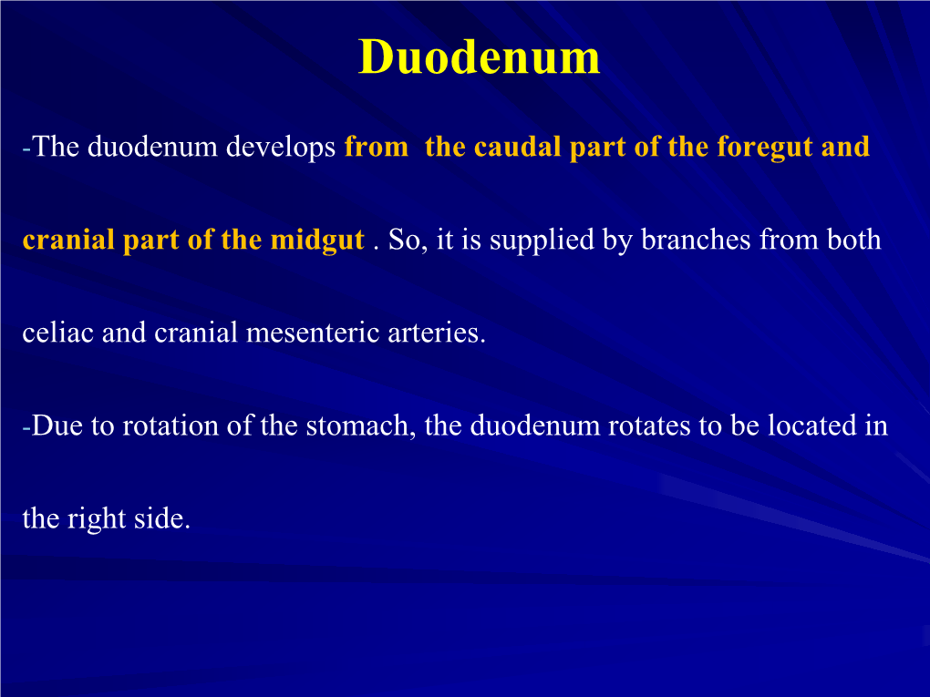 The Urogenital Sinus 1.The Anal Membrane Deepens to Form the Proctodeum