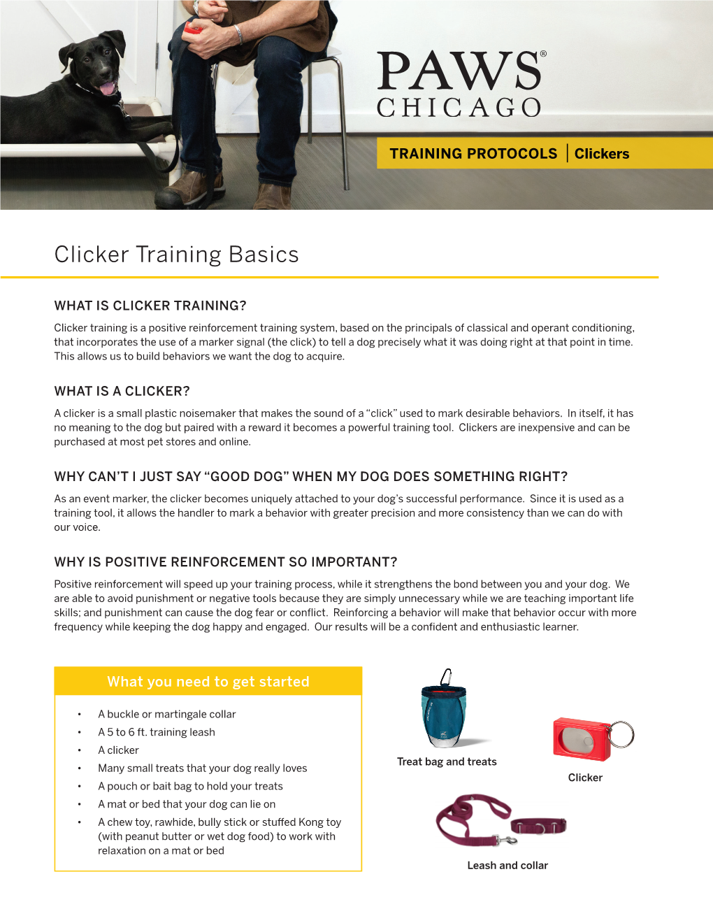 Clicker Training Basics