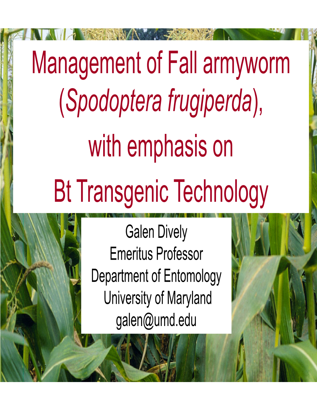 Management of Fall Armyworm (Spodoptera Frugiperda), With