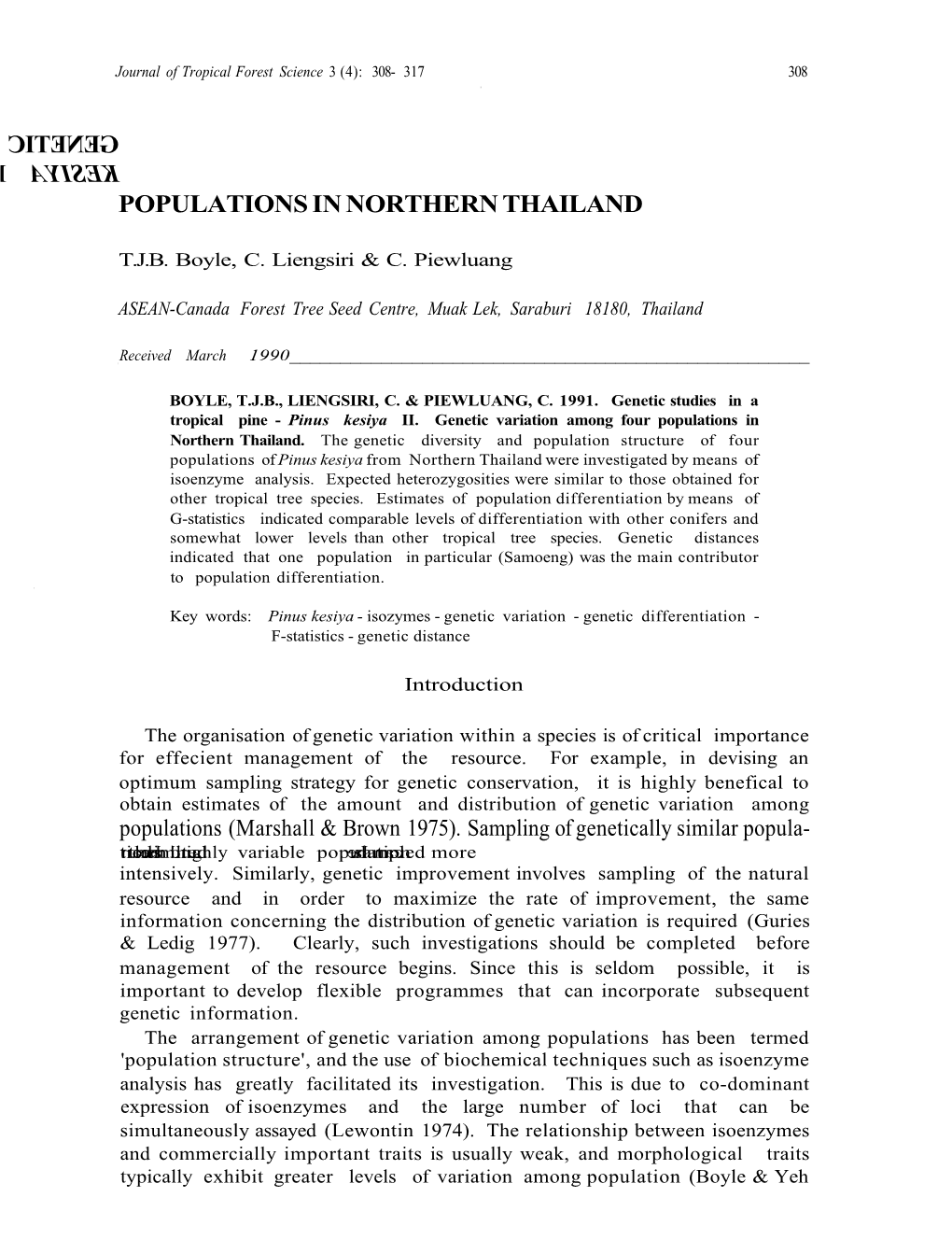 Genetic Studies in a Tropical Pine - Pinus Kesiya II