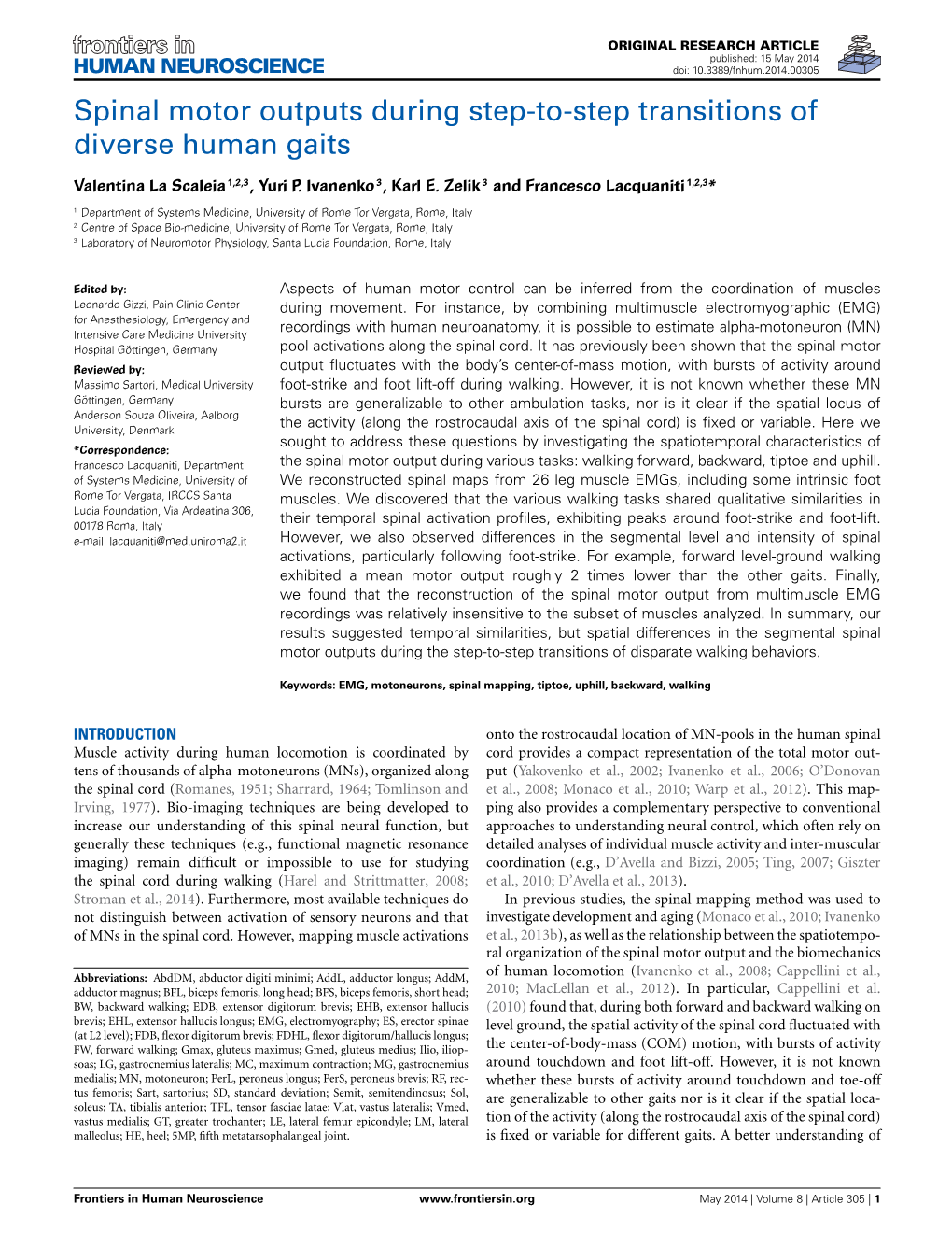 Spinal Motor Outputs During Step-To-Step Transitions of Diverse Human Gaits