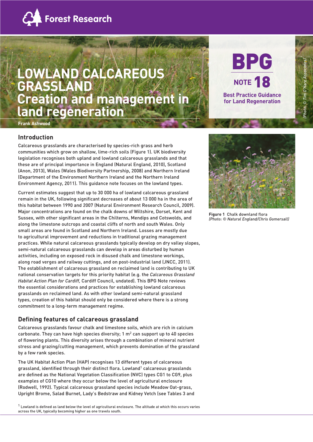 Lowland Calcareous Grassland Creation And